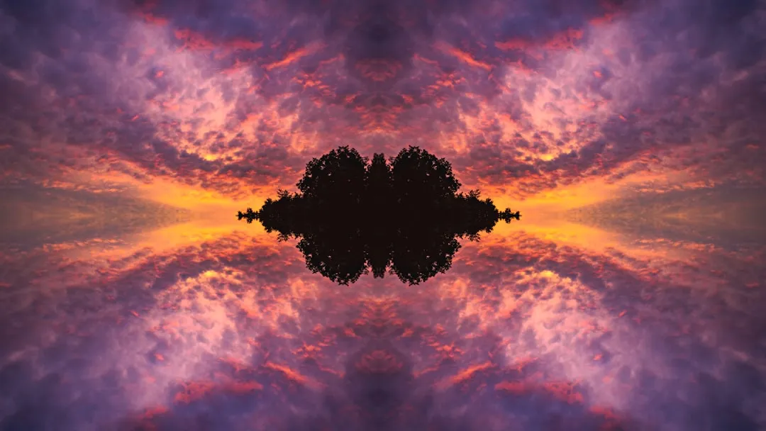a silhouette of a tree against a colorful sky