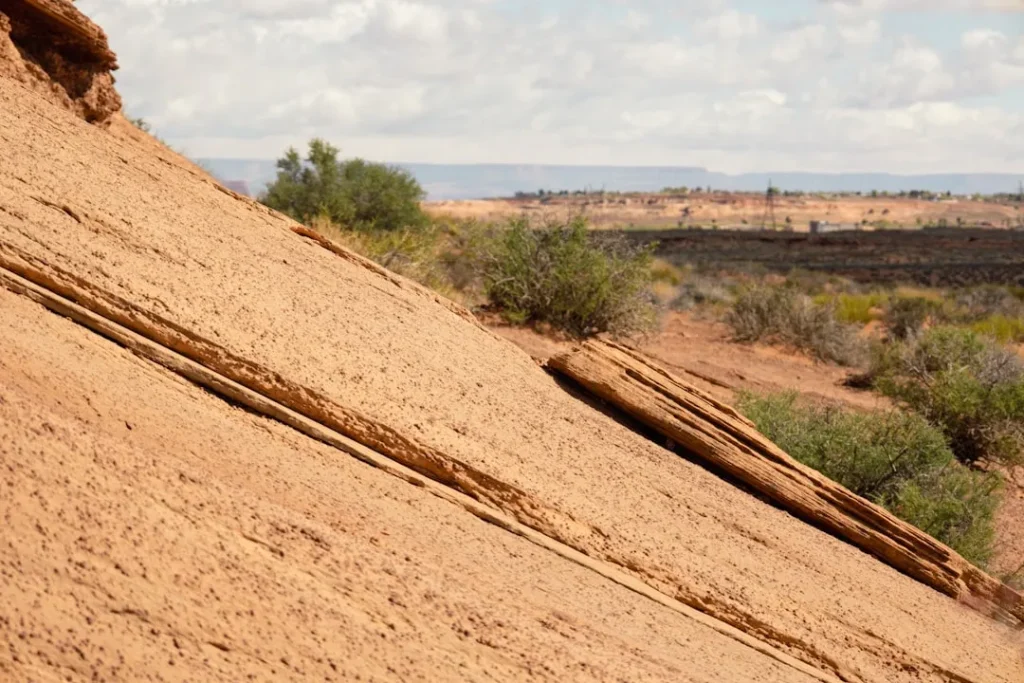 A sandy slope with shrubs and a distant view.