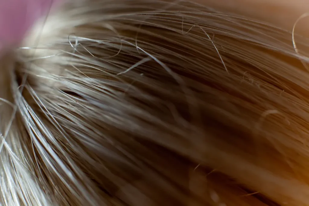 close up of a hair
