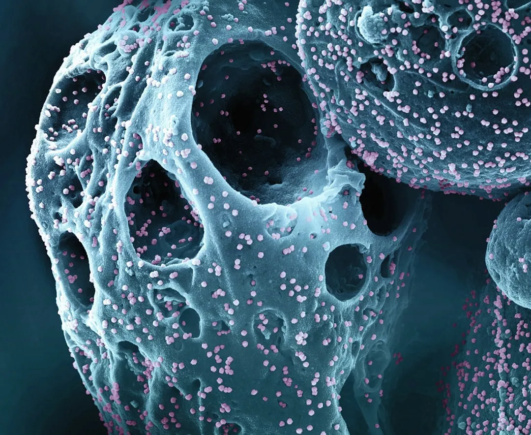 a close up of a cell with pink dots on it